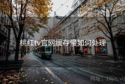 桃红tv官网缓存慢如何处理