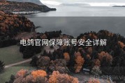 电鸽官网保障账号安全详解