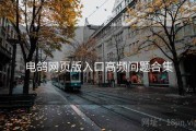 电鸽网页版入口高频问题合集