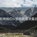 如何用桃红tv官网数据泄露自检