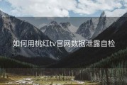 如何用桃红tv官网数据泄露自检