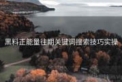 黑料正能量往期关键词搜索技巧实操