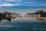 关于电鸽官网缓存慢如何处理
