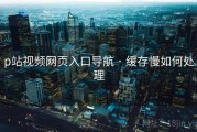 p站视频网页入口导航 · 缓存慢如何处理