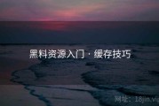 黑料资源入门 · 缓存技巧