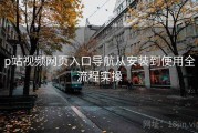 p站视频网页入口导航从安装到使用全流程实操