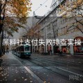 黑料社支付失败排查实操