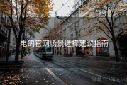 电鸽官网场景选择建议指南