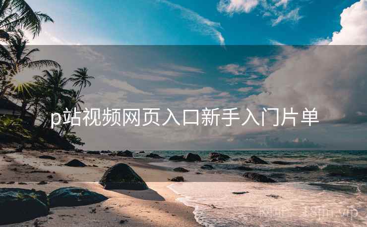p站视频网页入口新手入门片单