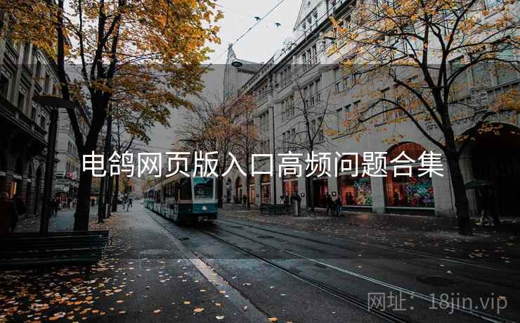 电鸽网页版入口高频问题合集