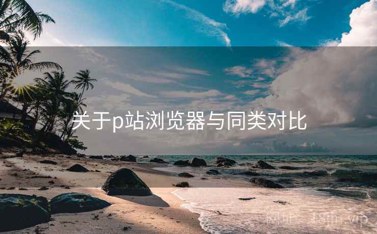 关于p站浏览器与同类对比