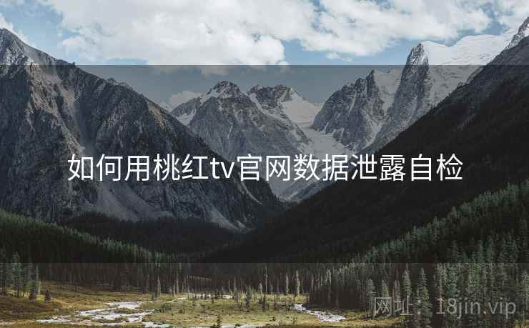 如何用桃红tv官网数据泄露自检