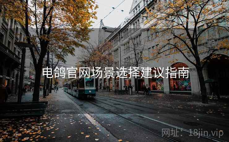 电鸽官网场景选择建议指南
