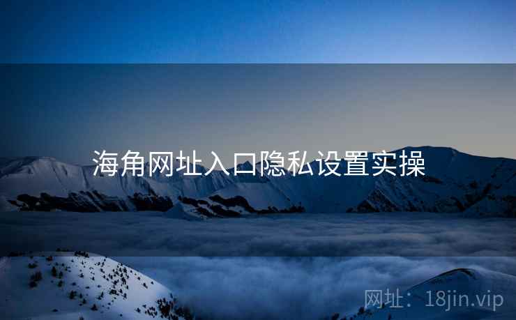 海角网址入口隐私设置实操