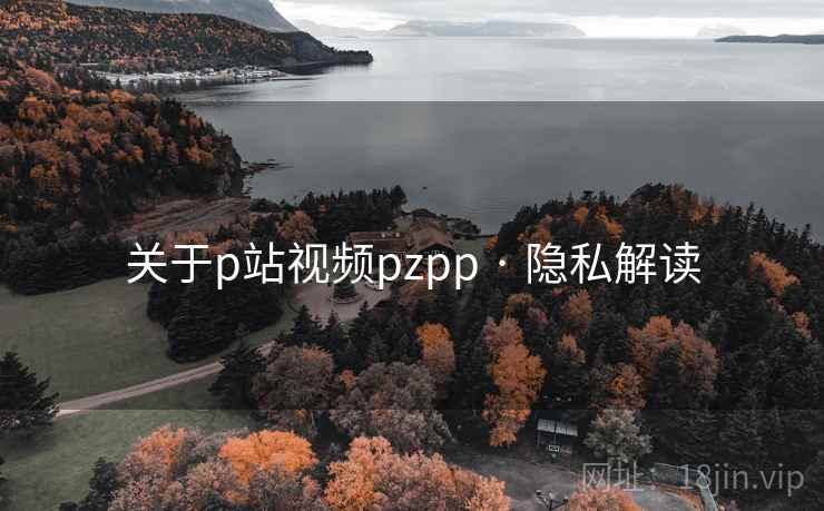 关于p站视频pzpp · 隐私解读