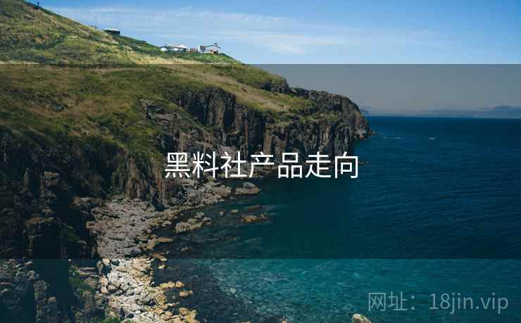 黑料社产品走向