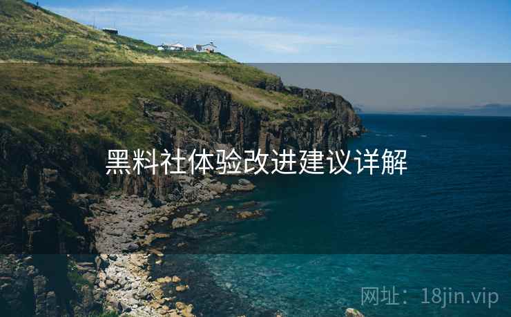 黑料社体验改进建议详解