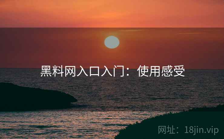 黑料网入口入门：使用感受