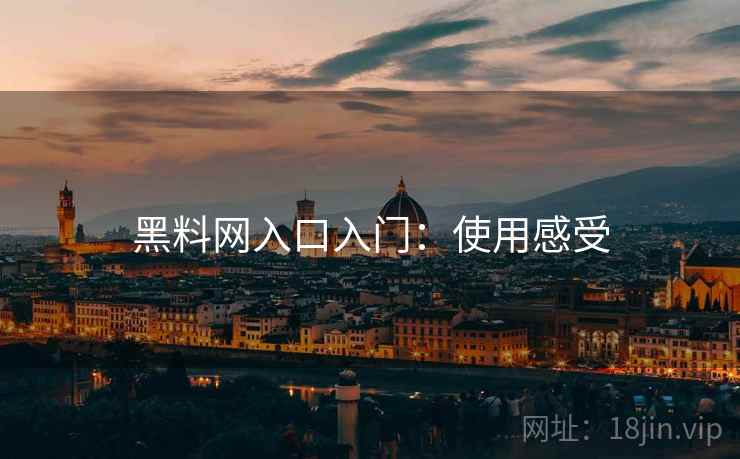黑料网入口入门：使用感受