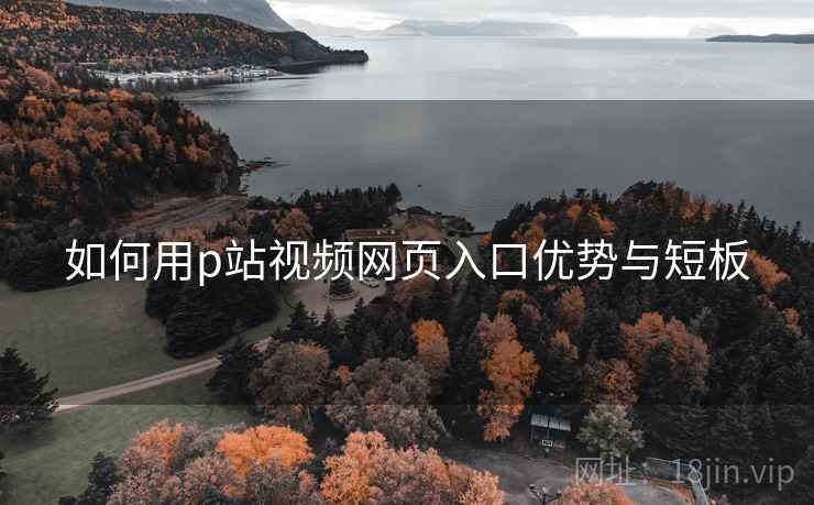 如何用p站视频网页入口优势与短板