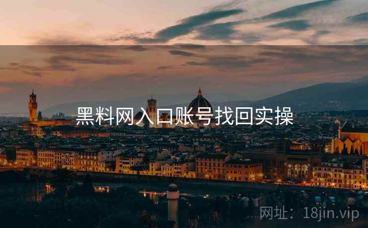 黑料网入口账号找回实操