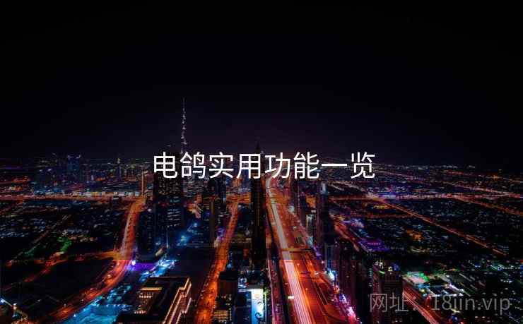 电鸽实用功能一览