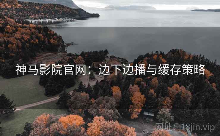 神马影院官网：边下边播与缓存策略