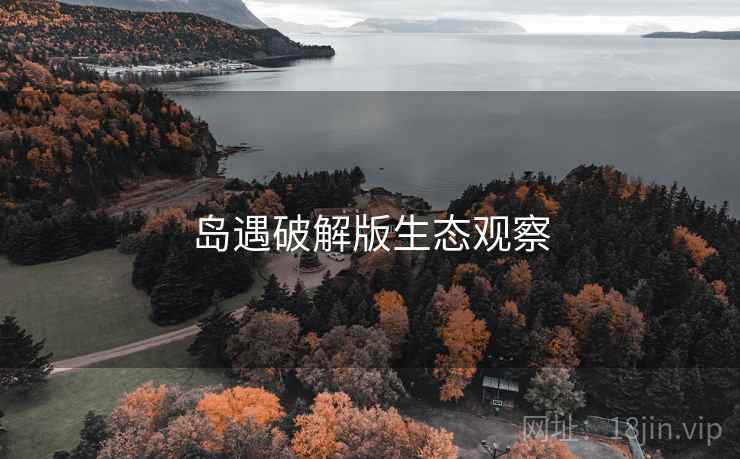 岛遇破解版生态观察