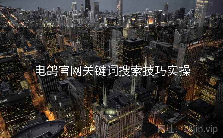 电鸽官网关键词搜索技巧实操