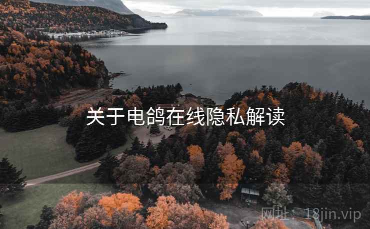 关于电鸽在线隐私解读
