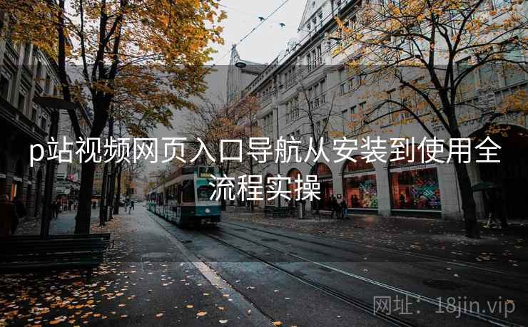 p站视频网页入口导航从安装到使用全流程实操