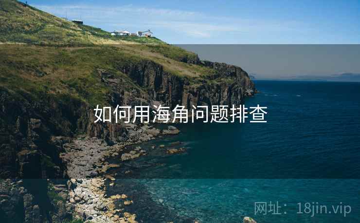 如何用海角问题排查