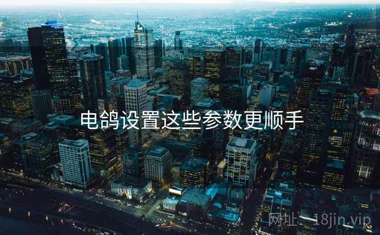 电鸽设置这些参数更顺手