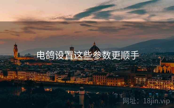 电鸽设置这些参数更顺手