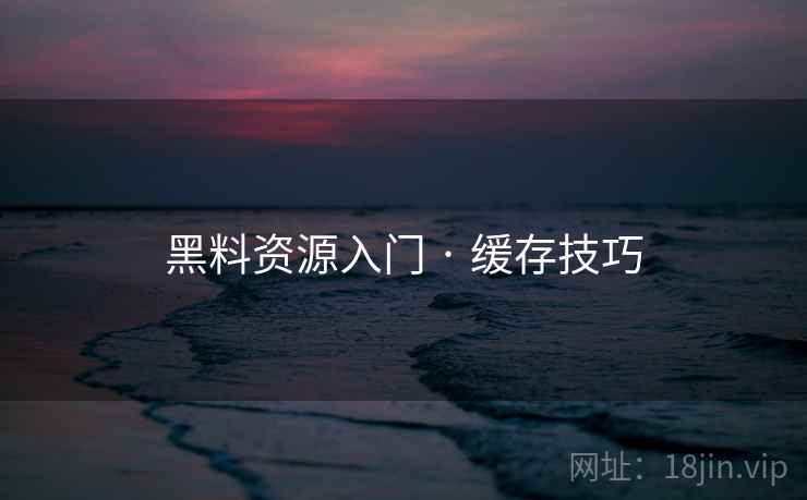 黑料资源入门 · 缓存技巧