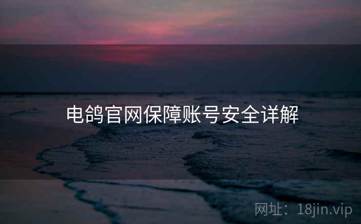 电鸽官网保障账号安全详解
