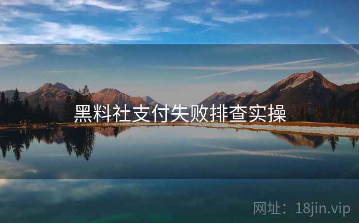 黑料社支付失败排查实操